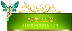 标准化工程