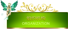 组织机构